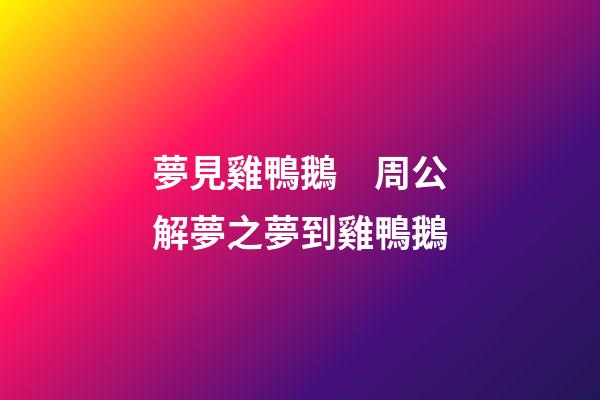 夢見雞鴨鵝　周公解夢之夢到雞鴨鵝
